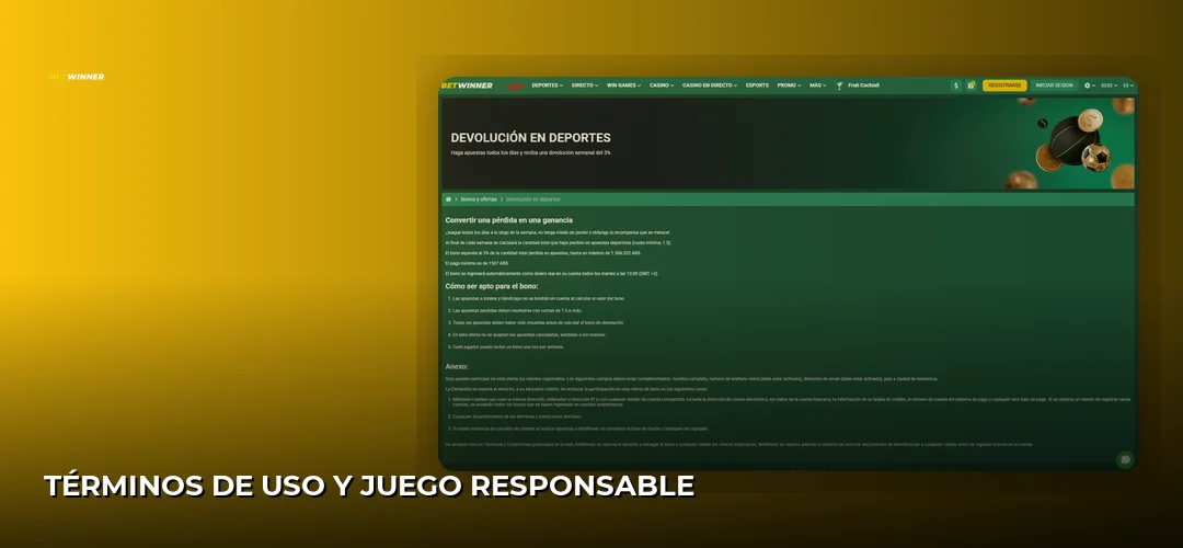 Términos de Uso y Juego Responsable